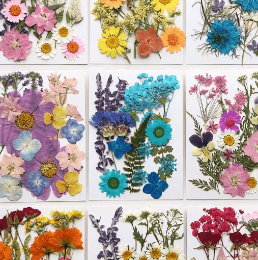 Natural Dried Flower Resin Fillings – Real Pressed Flowers for Nail Art & DIY Crafts