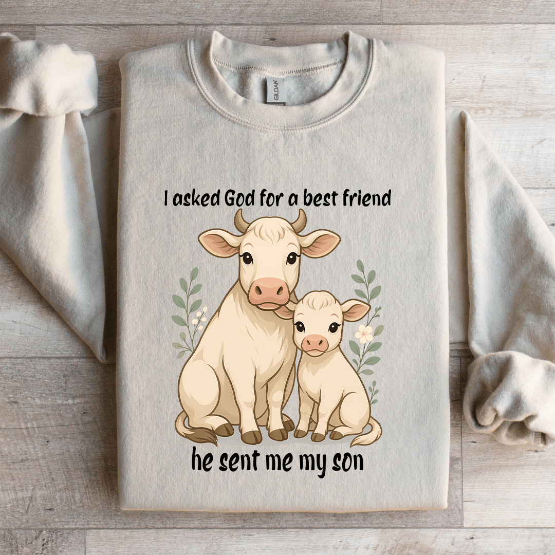 I Asked God For A Best Friend Sweatshirt