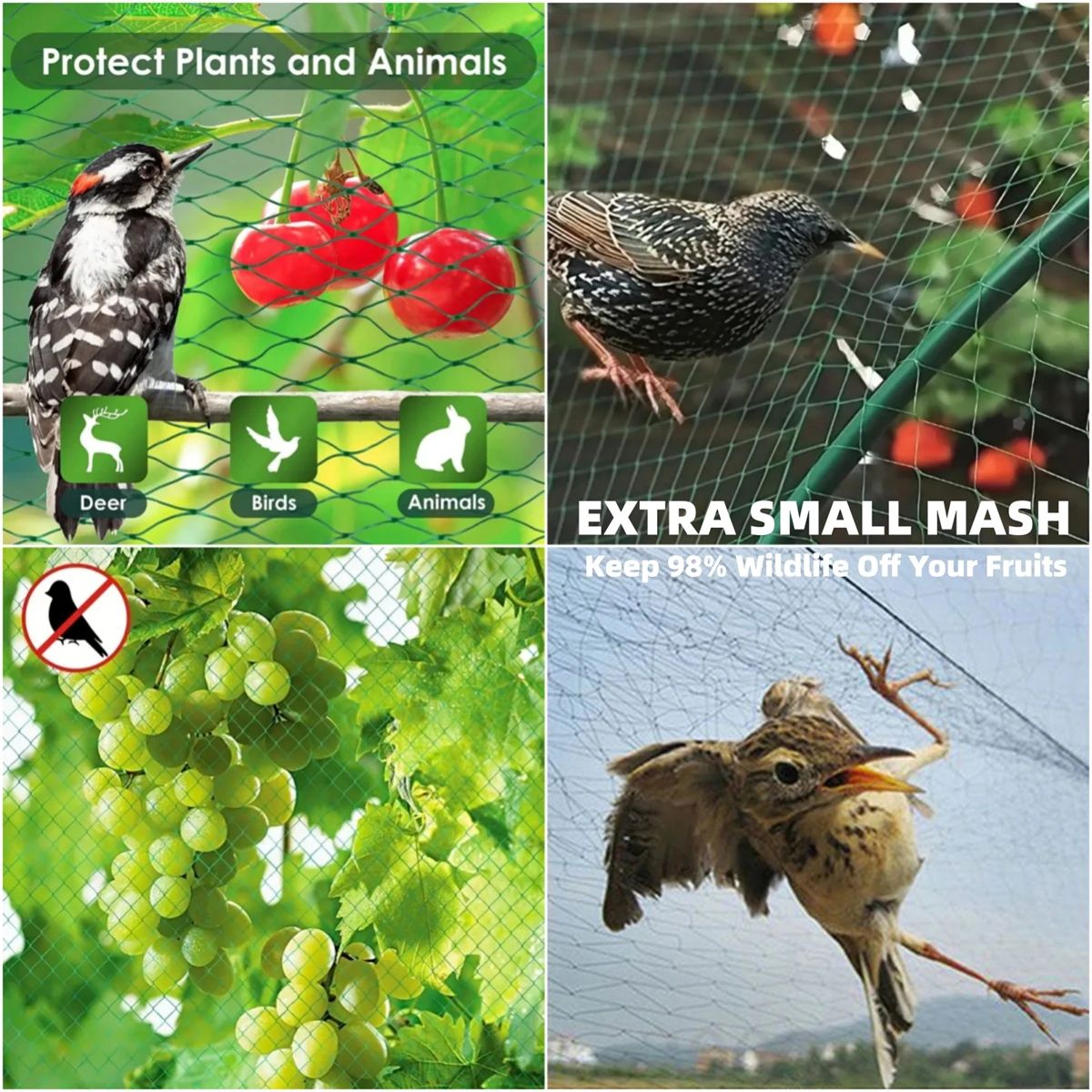 Garden Bird Protection Net