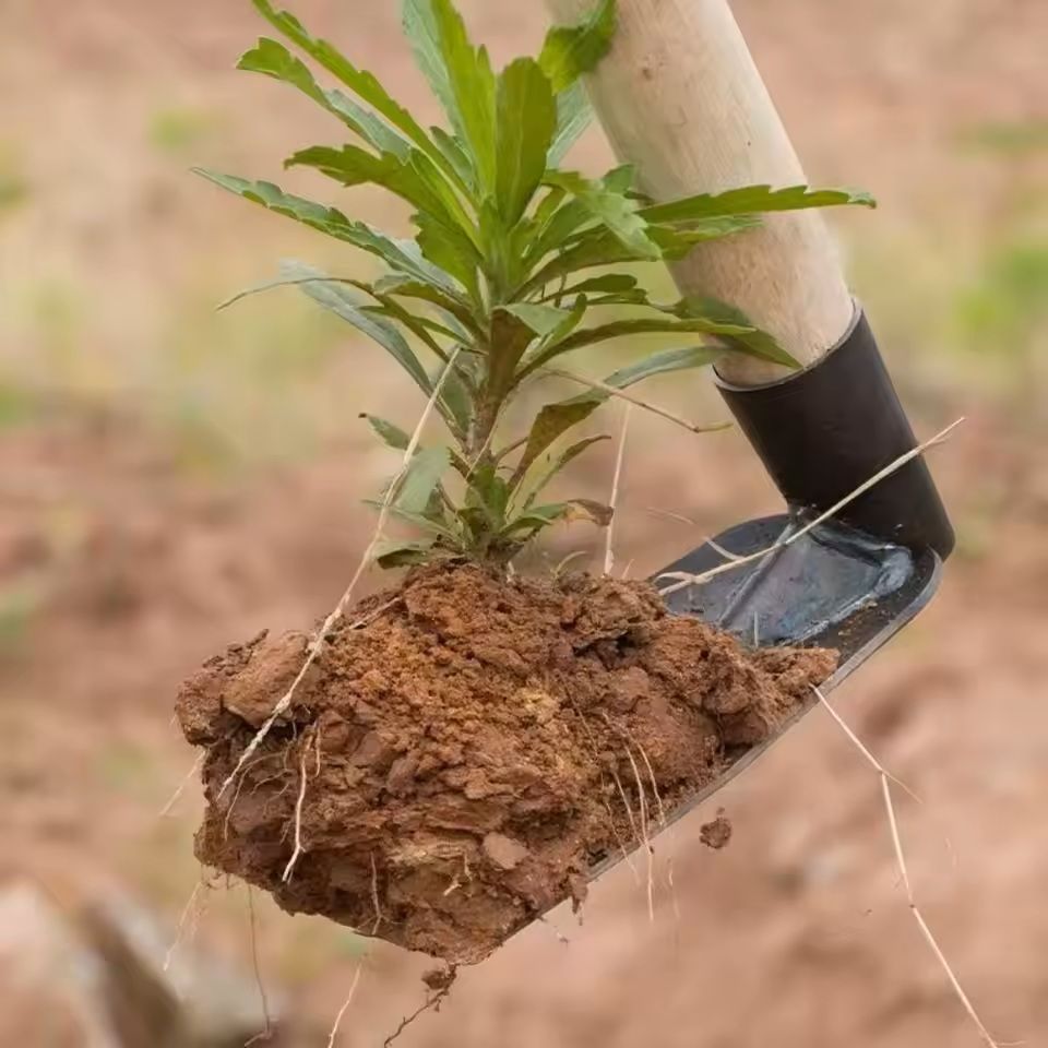 Forged Steel Garden Hoe for Digging and Weeding in Soil and Flower Beds