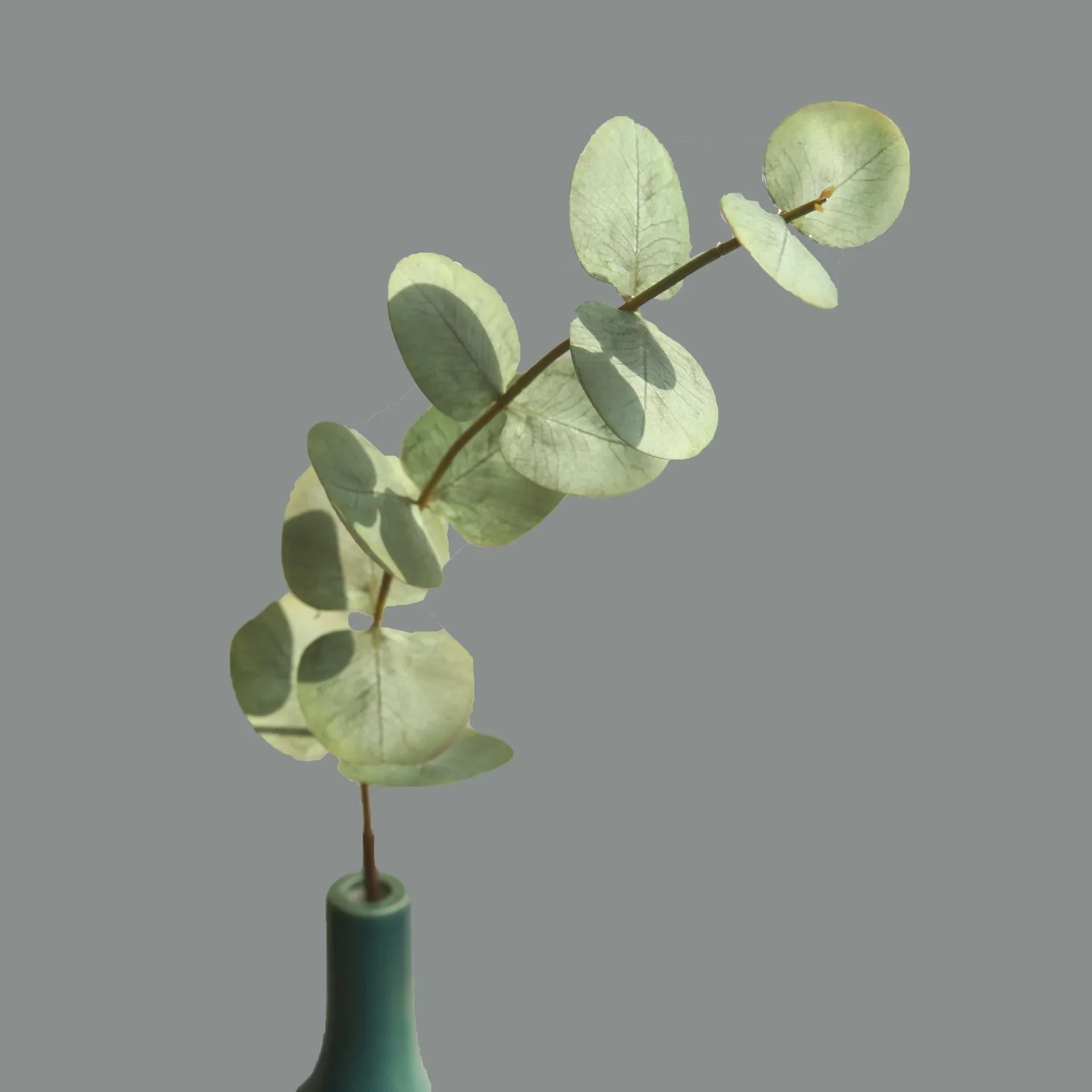 Artificial Eucalyptus Leaves Real Touch Greenery Fake Eucalyptus Stems for Wedding and Home Decor