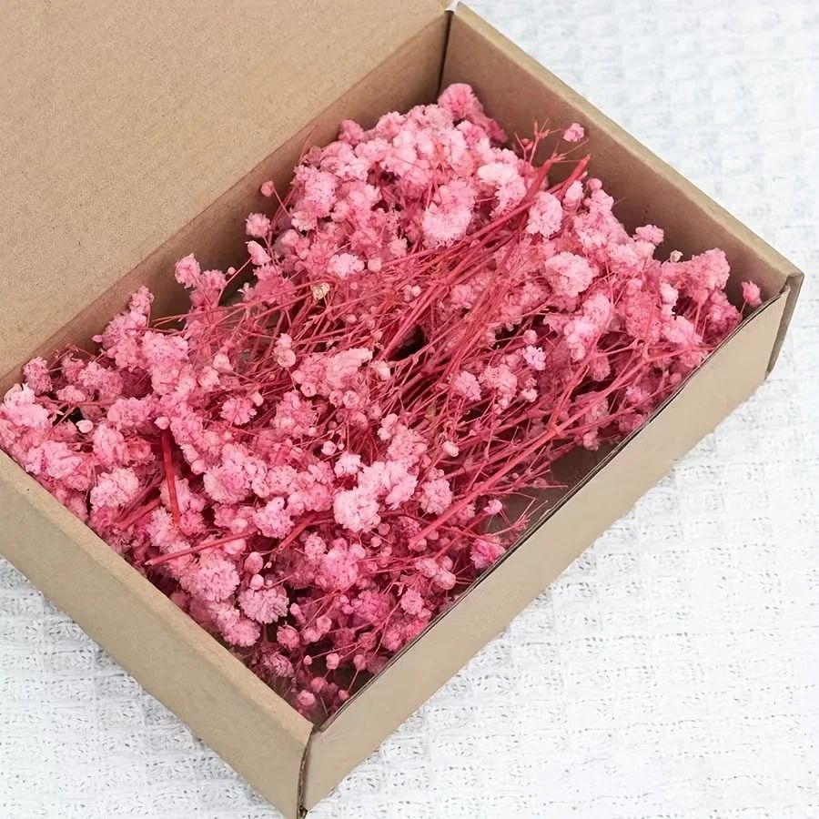 Mini Dried Baby Breath Flowers Gypsophila for Resin Crafts and Decor