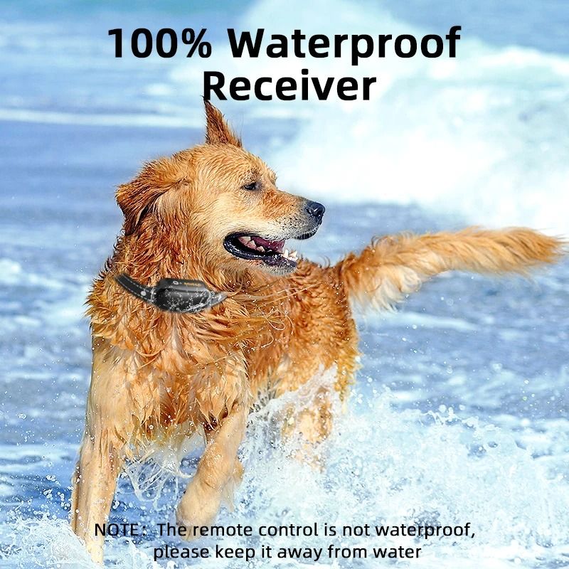 Electric Dog Training Collar with Remote and Waterproof Design