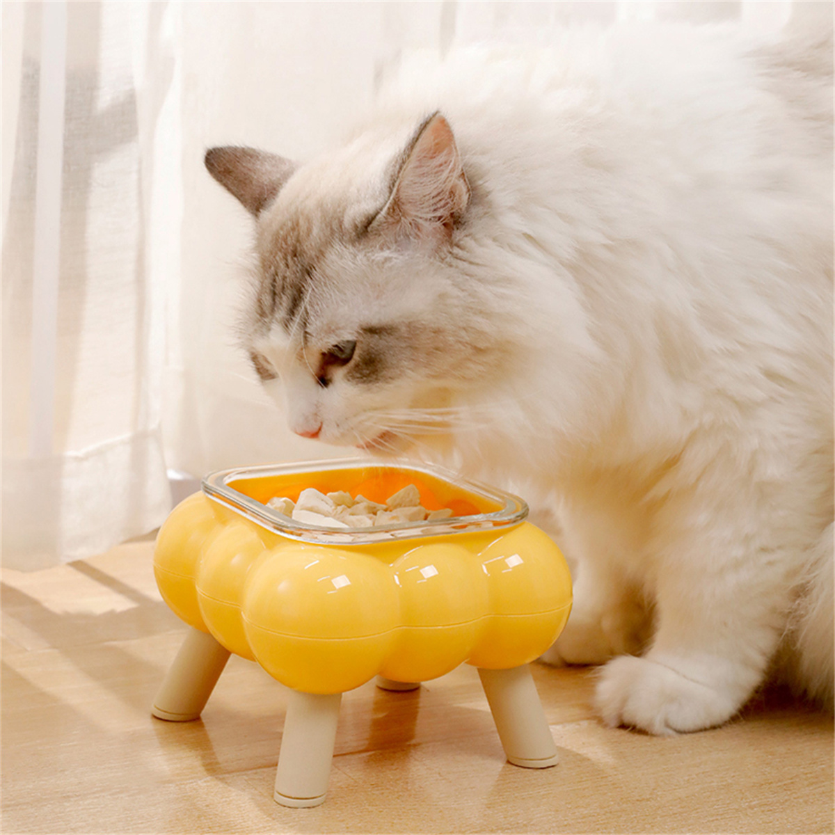 Elevated Cat Feeding Bowl Glass, High-Legged, Easy to Clean