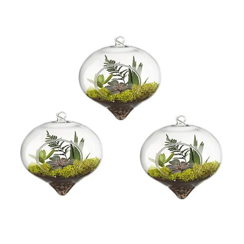 Terrarium Glass Ball Hanging Flower Vase
