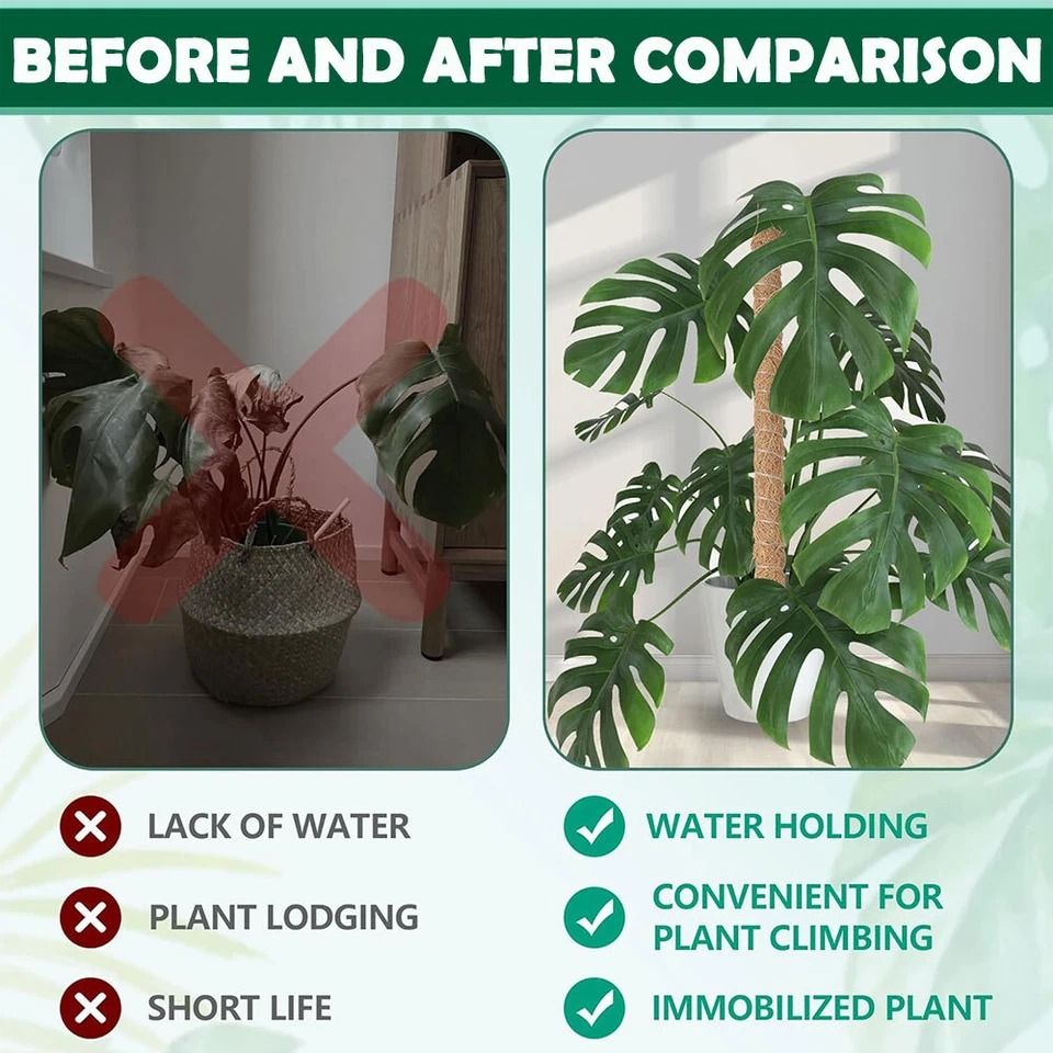 Bendable Moss Pole Plant Support Stakes for Monstera, Indoor Climbing Plants, Support Poles for Strong Growth