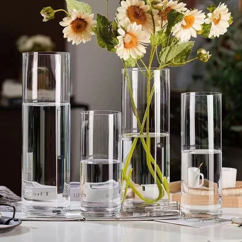Desktop Glass Planter and Transparent Cylinder Vase