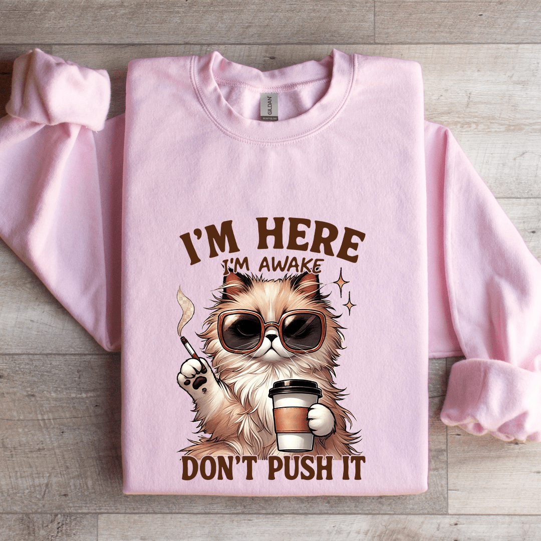 I'm Here I'm Awake Don't Push It Sweatshirt