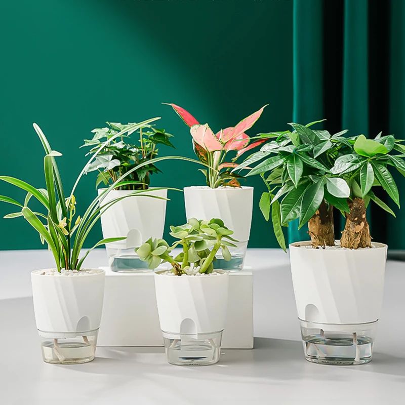 SmartGrow Transparent Self Watering Planter & Hydroponic Flower Pot – Automatic Water-Absorbing Indoor Garden Pot