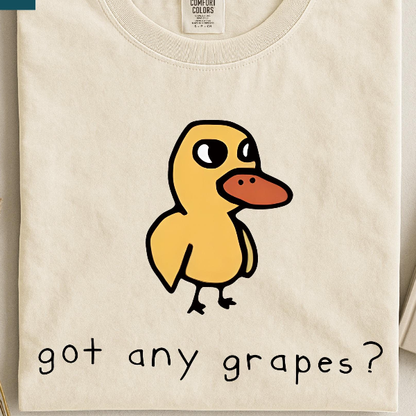 Got Any Grapes Shirt, Funny Duck Sweater, Funny Women's Sweatshirt, Duck Song Tee, I'm Overstimulated