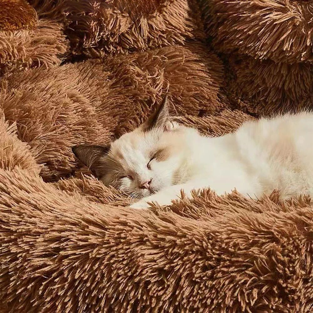 Winter Plush Pet Sofa Bed Mat