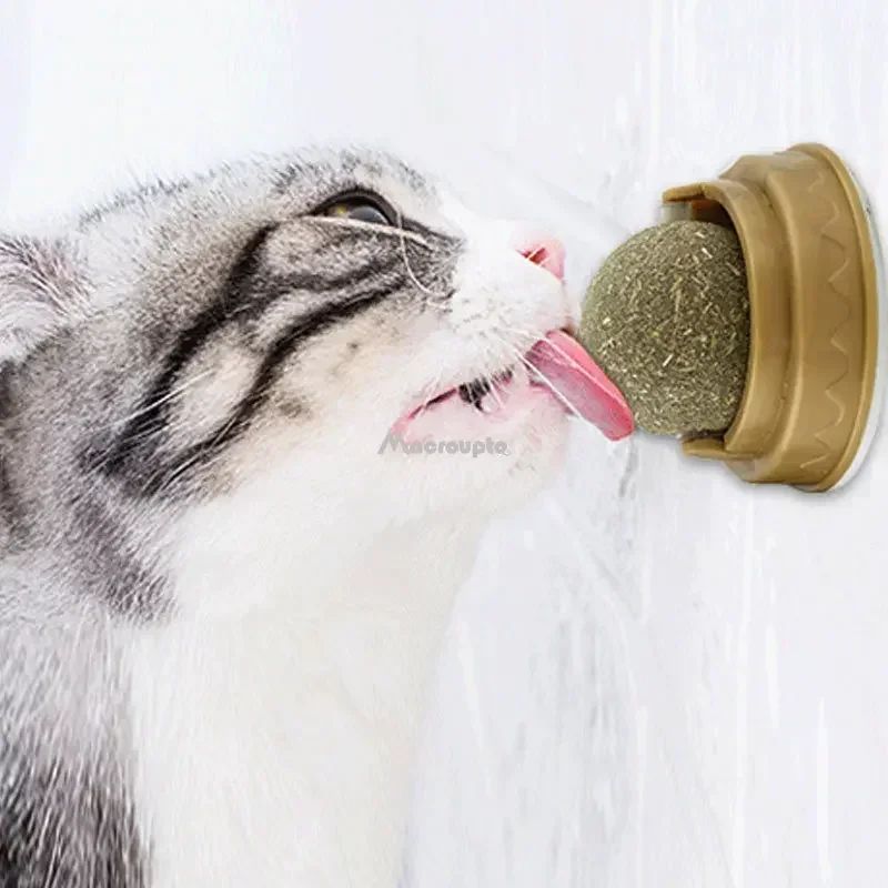 Stick-On Catnip & Cat Grass Wall Ball Toy – Natural Lickable Treat Roller for Digestion & Boredom Relief