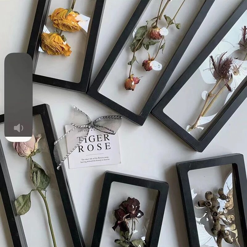 Dried Flower Frame Storage Box: Transparent Display Picture Frame for Jewelry & Home Wall Decoration