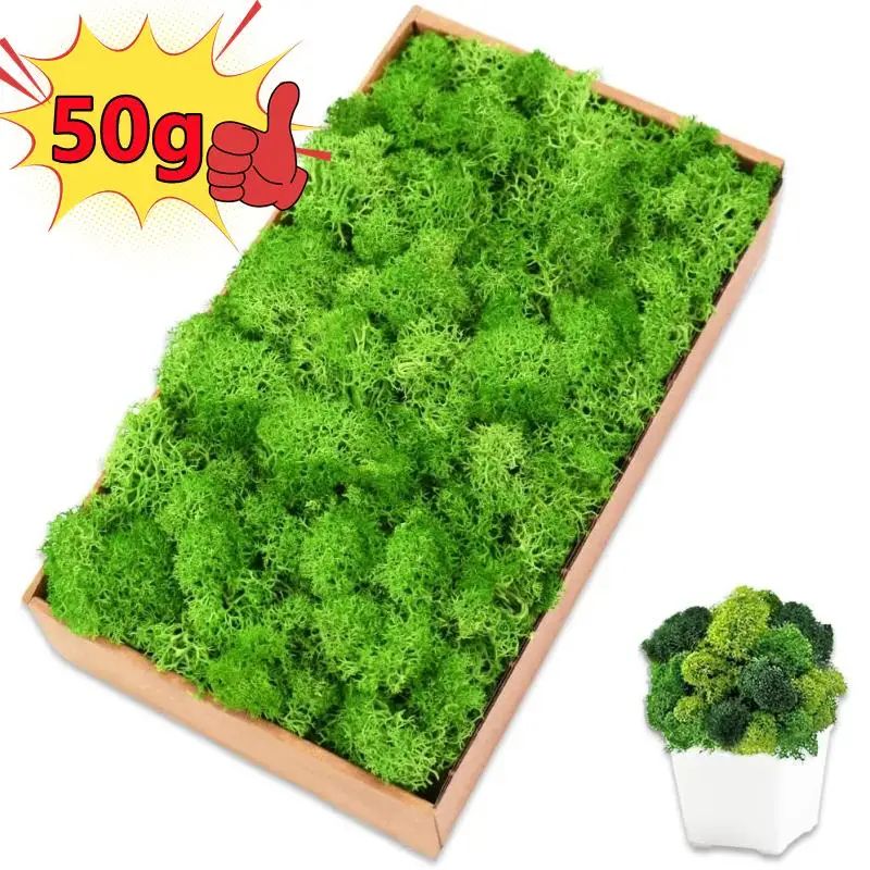 Artificial Moss Grass for DIY Crafts and Mini Landscape Decor