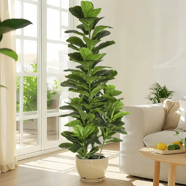 Artificial Fiddle Leaf Fig Tree – Large Faux Ficus Lyrata Plant for Modern Home & Office Decor