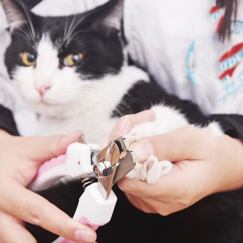 Pet Nail Clipper Grooming Scissors