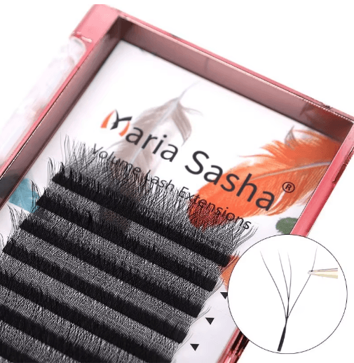 MARIA 4D W Shaped Beam Lash Extensions Easy Fan Russian Volume Clusters