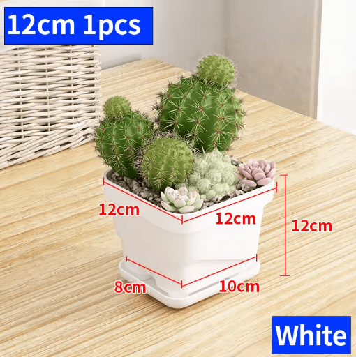 Square Ventilated Plastic Flower Pot Succulent Planter with Thick Drainage Tray