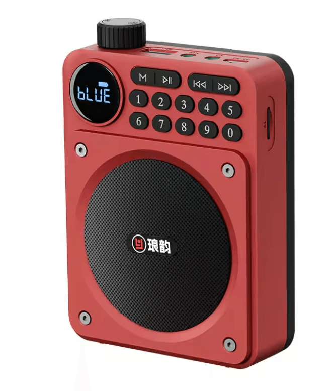 Mini Digital FM Radio Bluetooth Speaker with USB TF Card Display