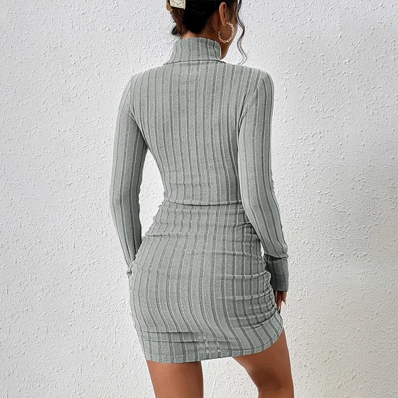 Womens Autumn Winter Turtleneck Long Sleeve Sexy Bodycon Knitted Mini Sheath Dress