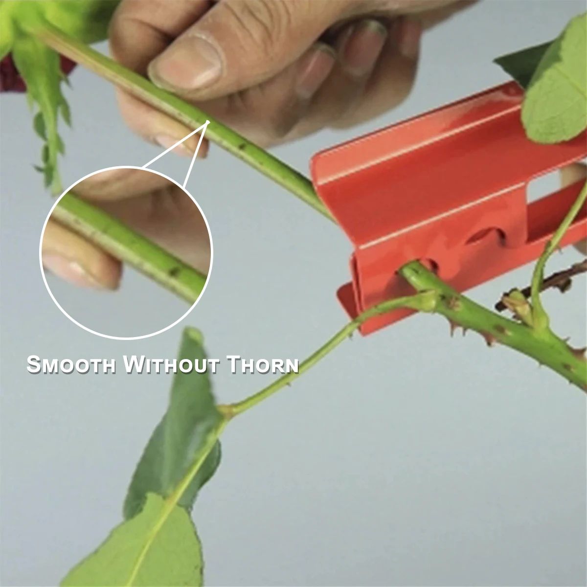 RoseEase Thorn Stripper Tool with Gloves for Safe Gardening