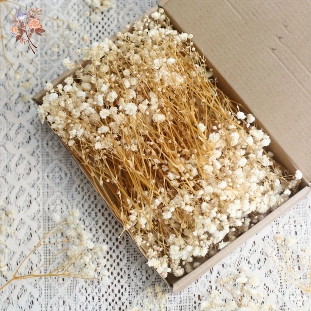 100pcs Mini Dried Baby's Breath Flowers for Resin Crafts and DIY Decor