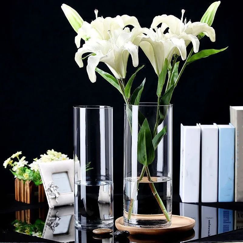 Desktop Glass Planter and Transparent Cylinder Vase