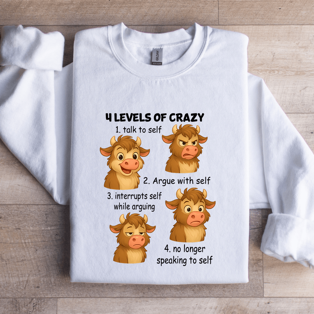 4 Levels Of Crazy 1 Talk To Self Sweatshirt