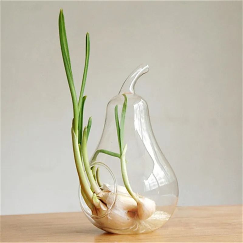 Apple Pear Fruit Planter Tabletop Vase