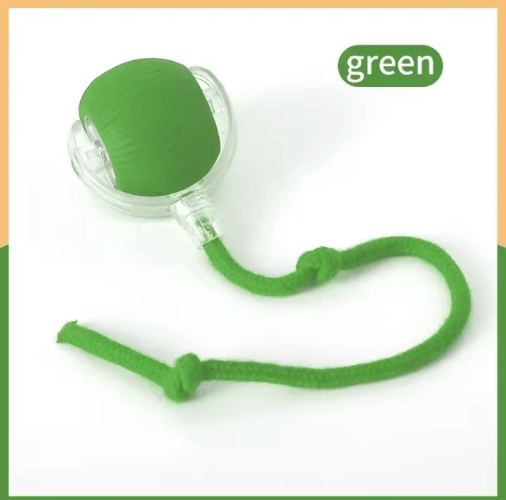 Interactive Rechargeable Rolling Ball Pet Toy – Smart Automatic Cat & Dog Imitation Mouse Toy