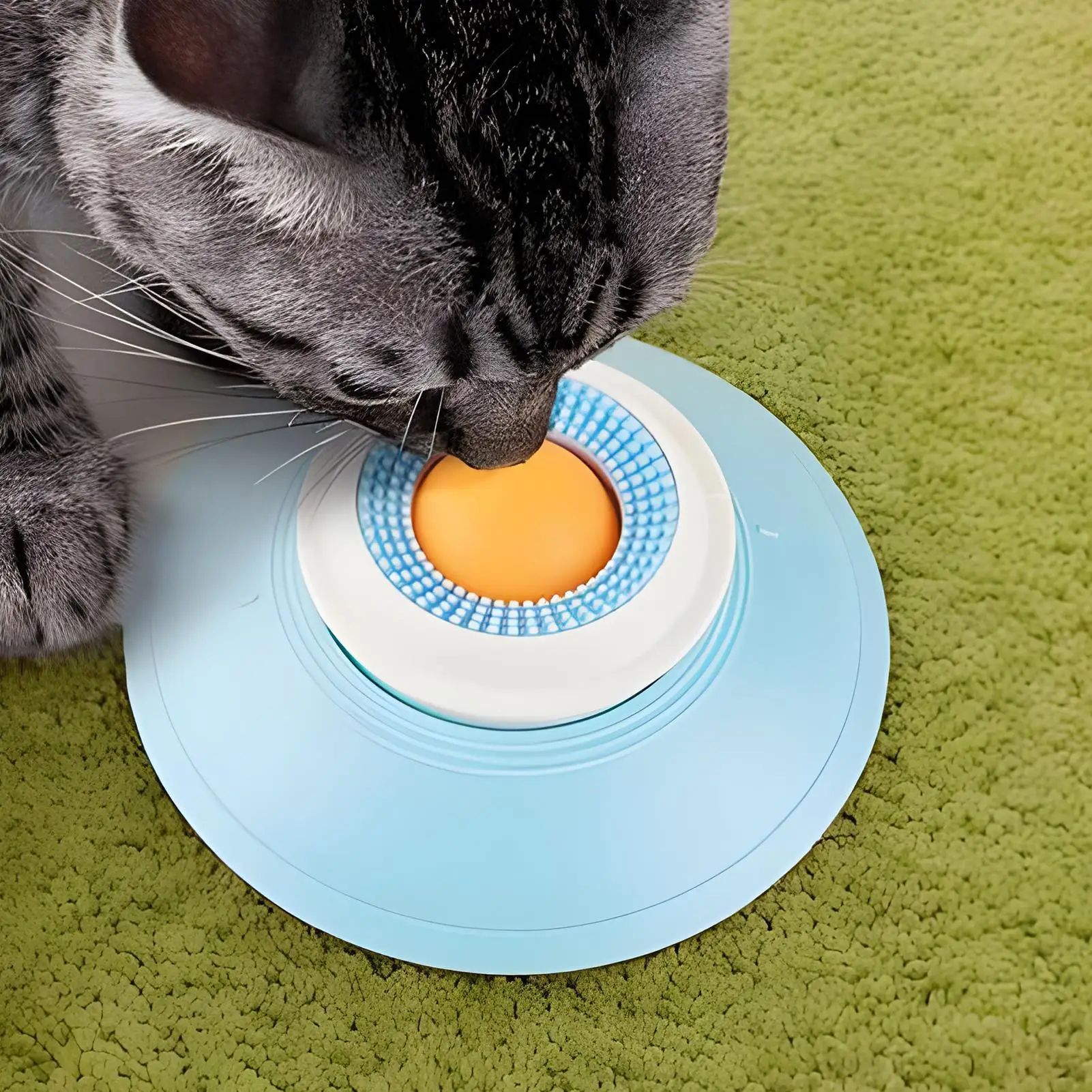Dog Slow Feeder Lick Bowl