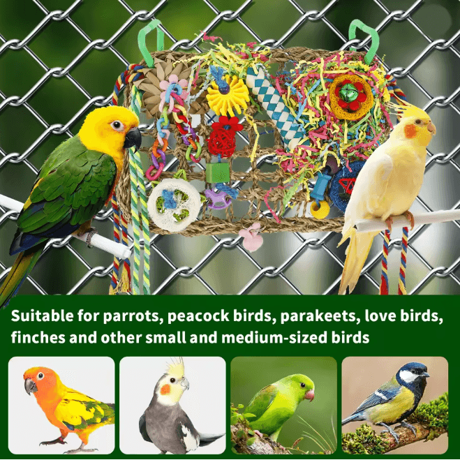 ForageFun Handmade Bird Foraging Toy for Parakeets and Small Parrots