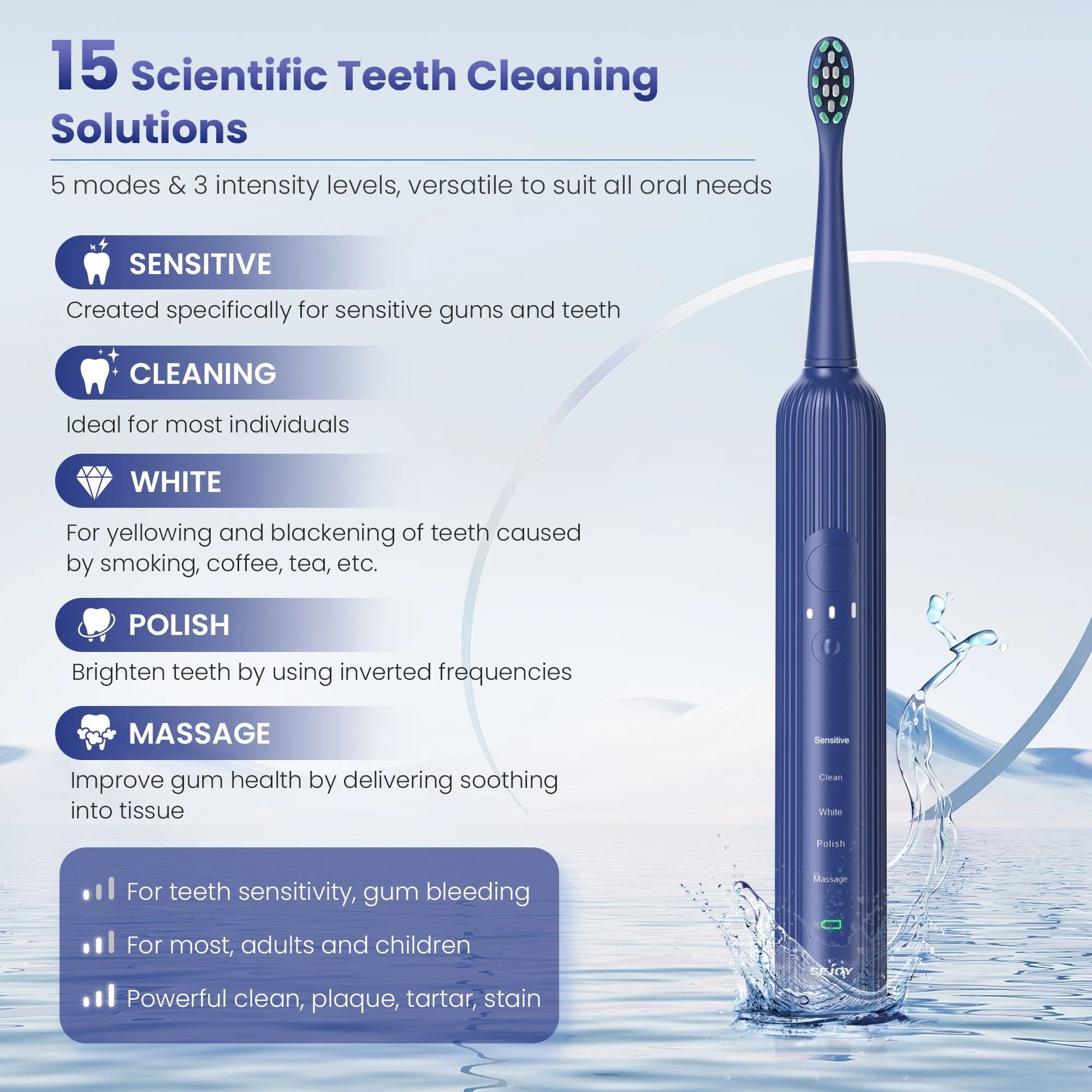 Sonic Electric Toothbrush Rechargeable with 5 Modes and 6 Brush Heads