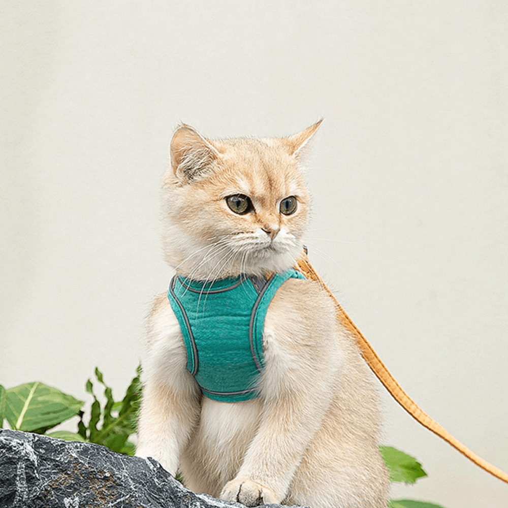 Cat Luminous Harness & Leash Set