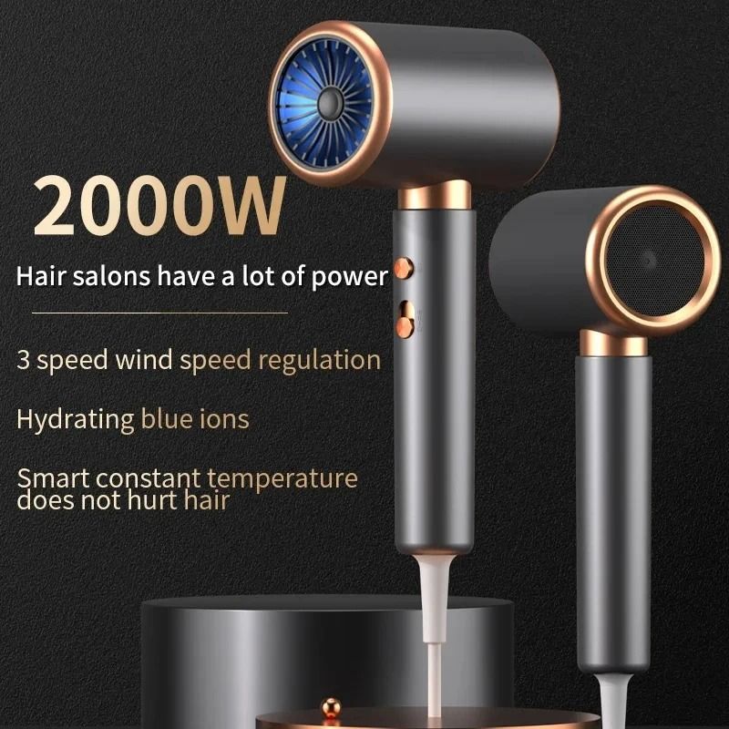 Premium 2000W Ionic Airflow Salon Dryer