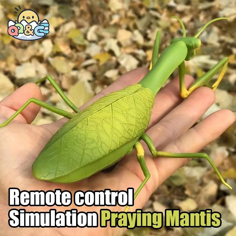 RC Animal Robot Insect Toy for Kids