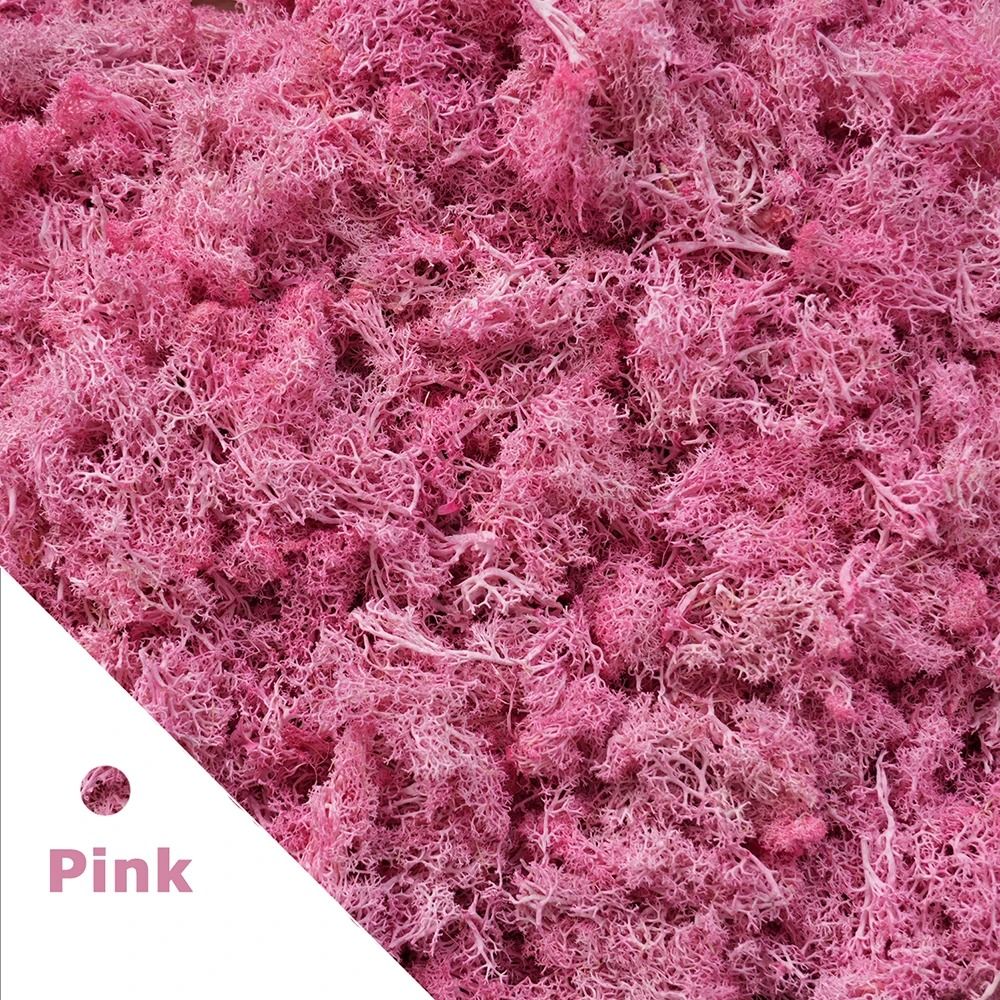 Premium Eternal Life Preserved Artificial Moss Grass