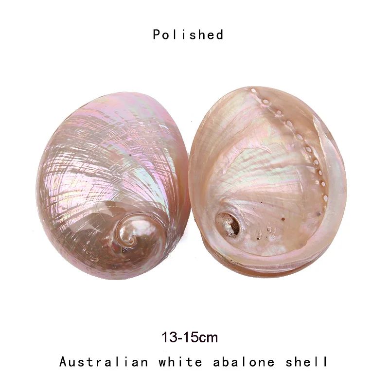 Natural Paua Abalone Shell Smudge Kit with Stand