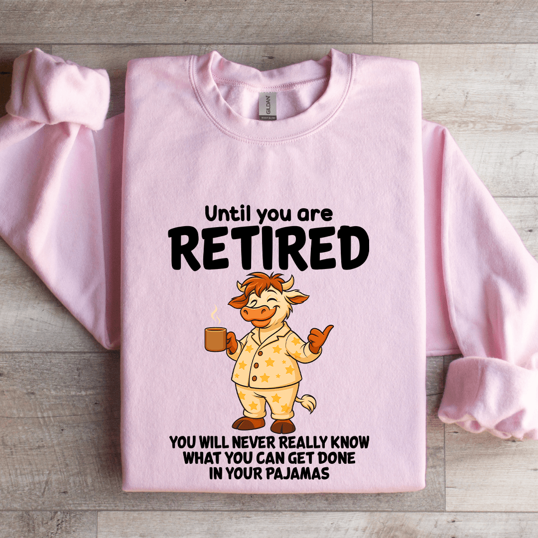 Until You Are Retired You Will Never Really Know Sweatshirt