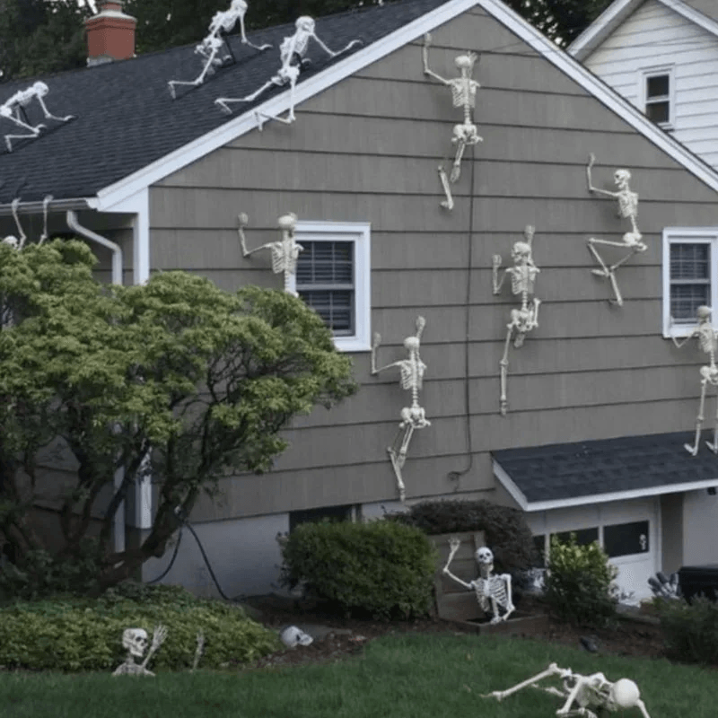 Life-size Movable Halloween Skeleton, Full Body Fake Skull & Bones for Haunted House, Home Bar, and Horror Party Decor
