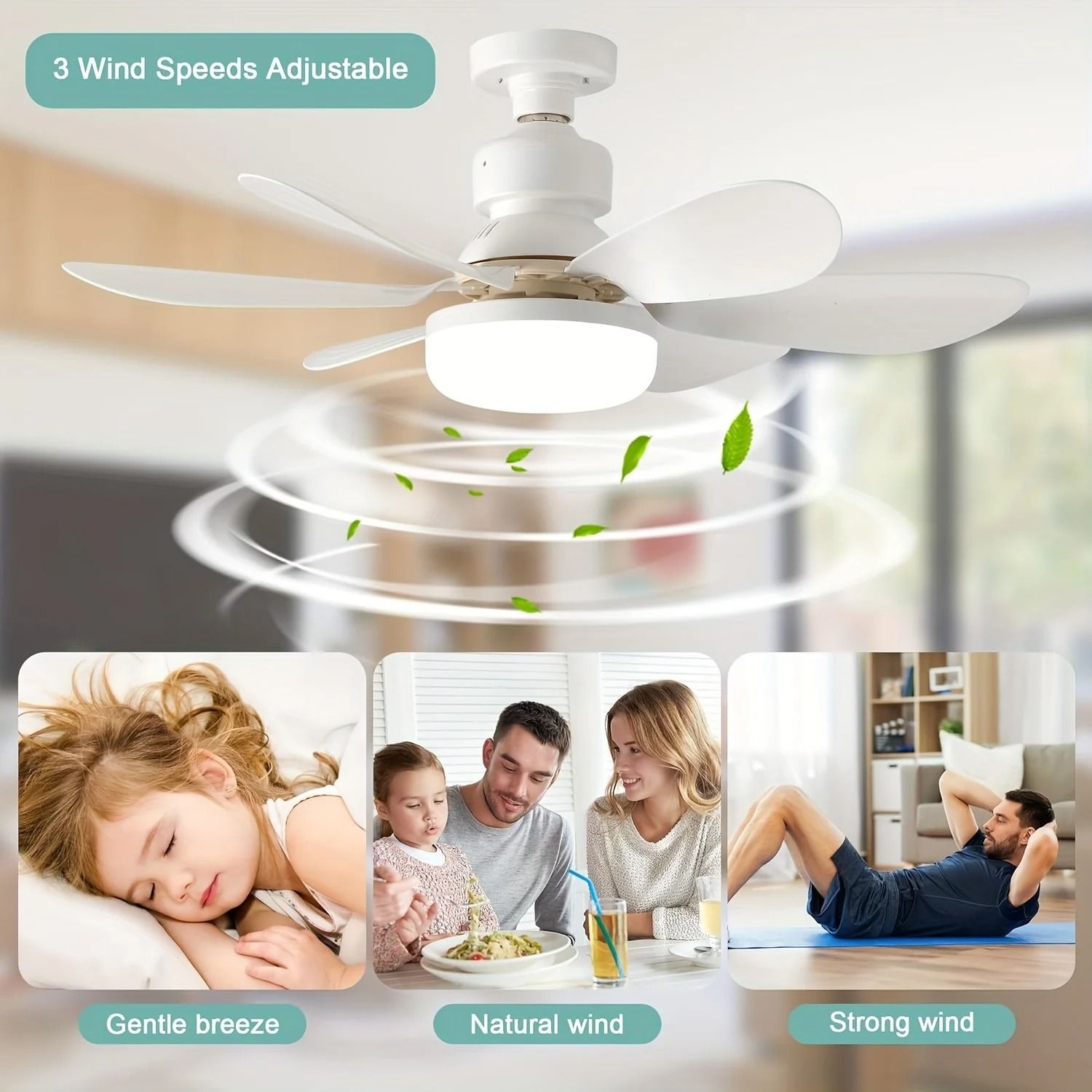 Ceiling Fan Light with Remote 20.5 in LED Fan for Kitchen or Small Rooms