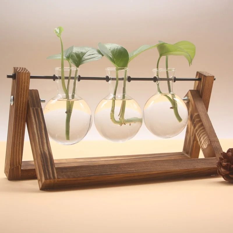 Hydroponic Plant Vase with Wooden Stand