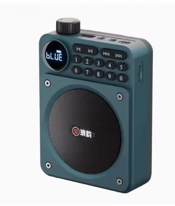 Mini Digital FM Radio Bluetooth Speaker with USB TF Card Display