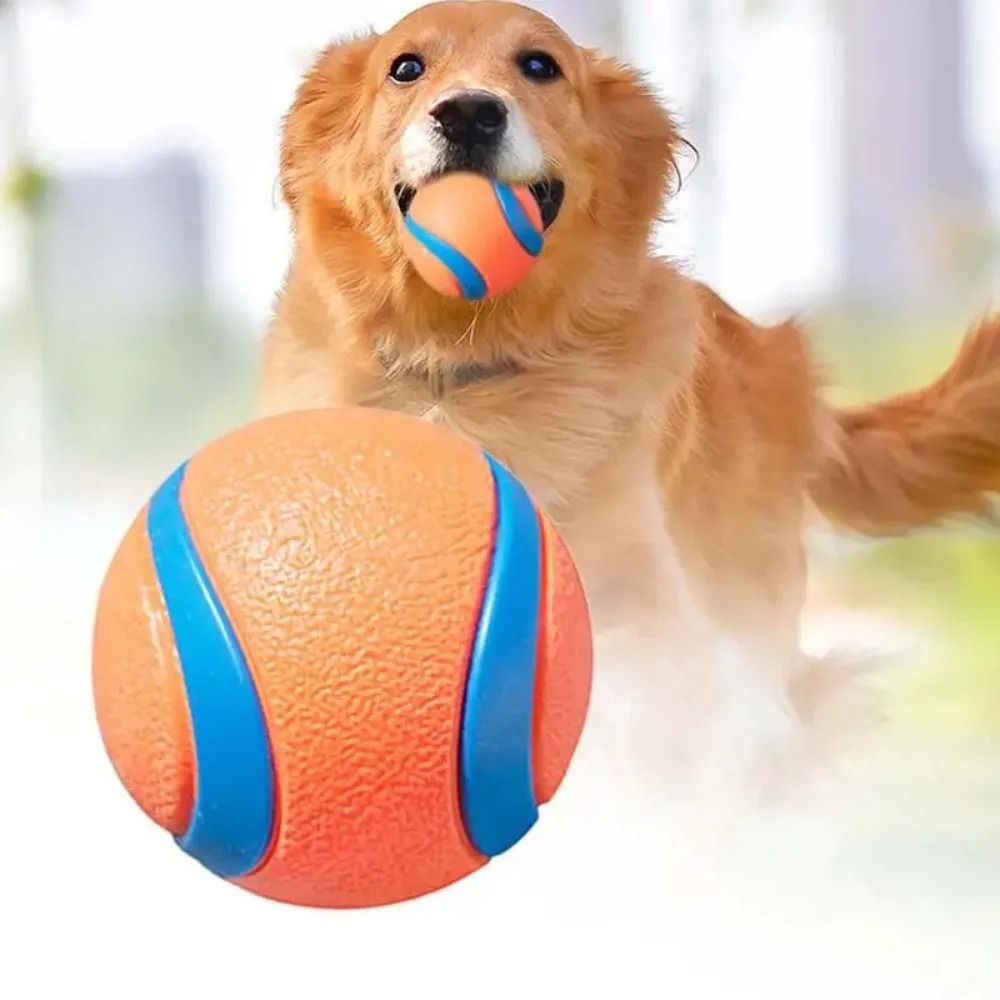 Dog Fetch Ball Tough Chew Toy Solid Elastic Jumping Ball for Dogs