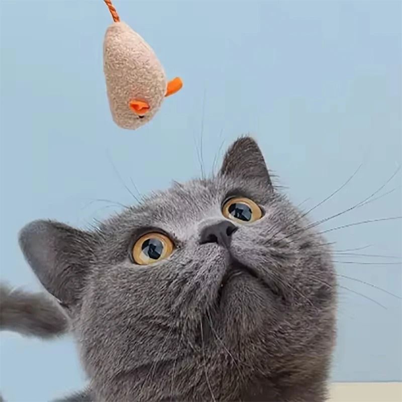 Simulated Plush Mouse Cat Toy Set Durable Scratch Resistant Cat Play Toy