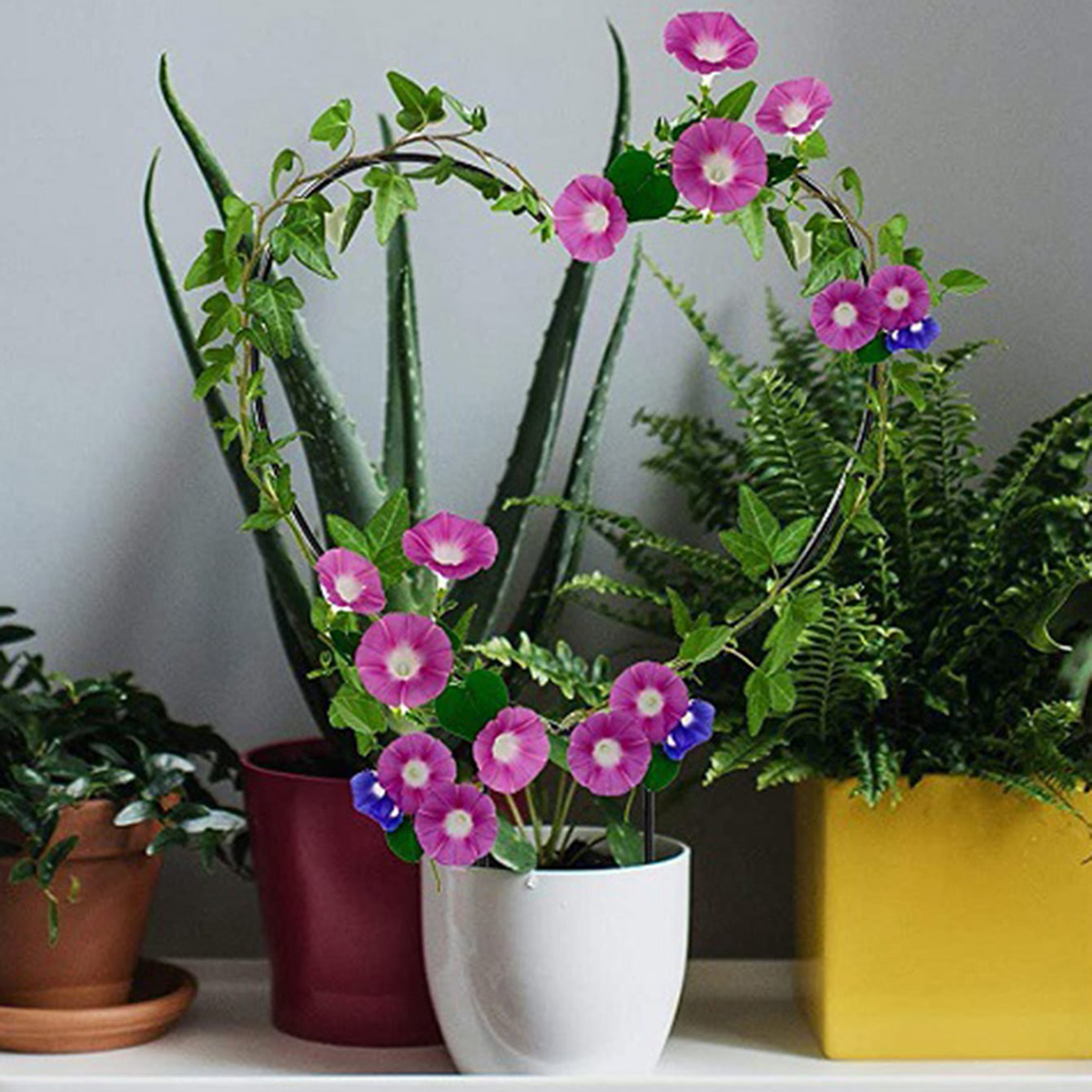 Rust-Proof Garden Trellis Plant Support for Indoor Vines and Flowers