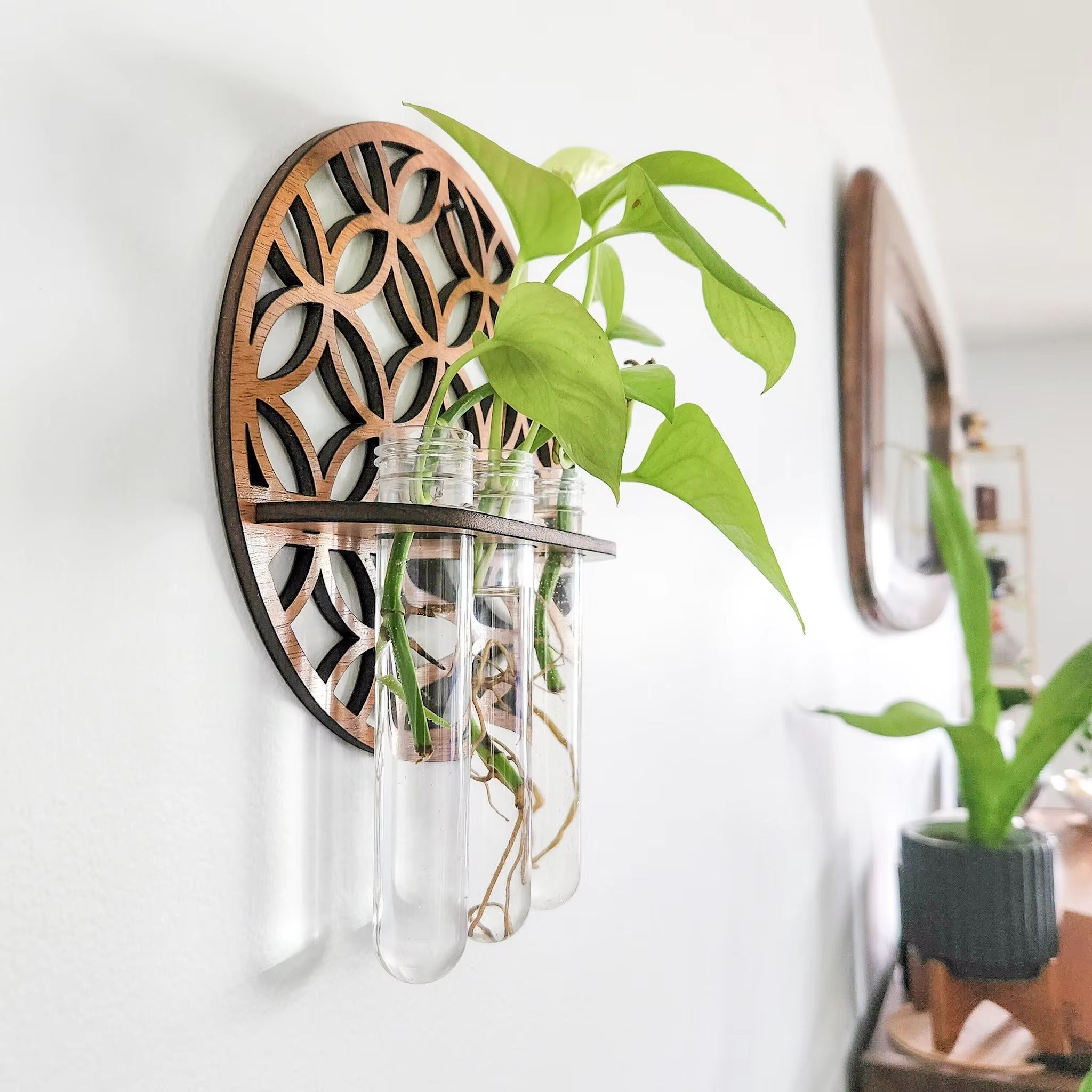 Rustic Wooden Wall Planter with Glass Tube Propagation Station – Hanging Indoor Plant Holder & Flower Vase Rack