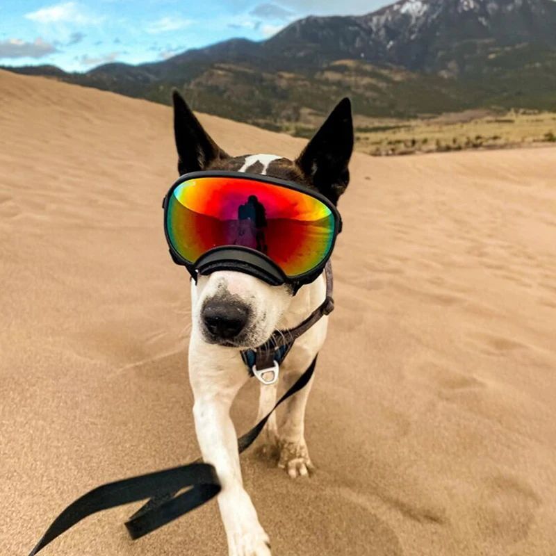 Dog Goggles UV Protection Eyewear