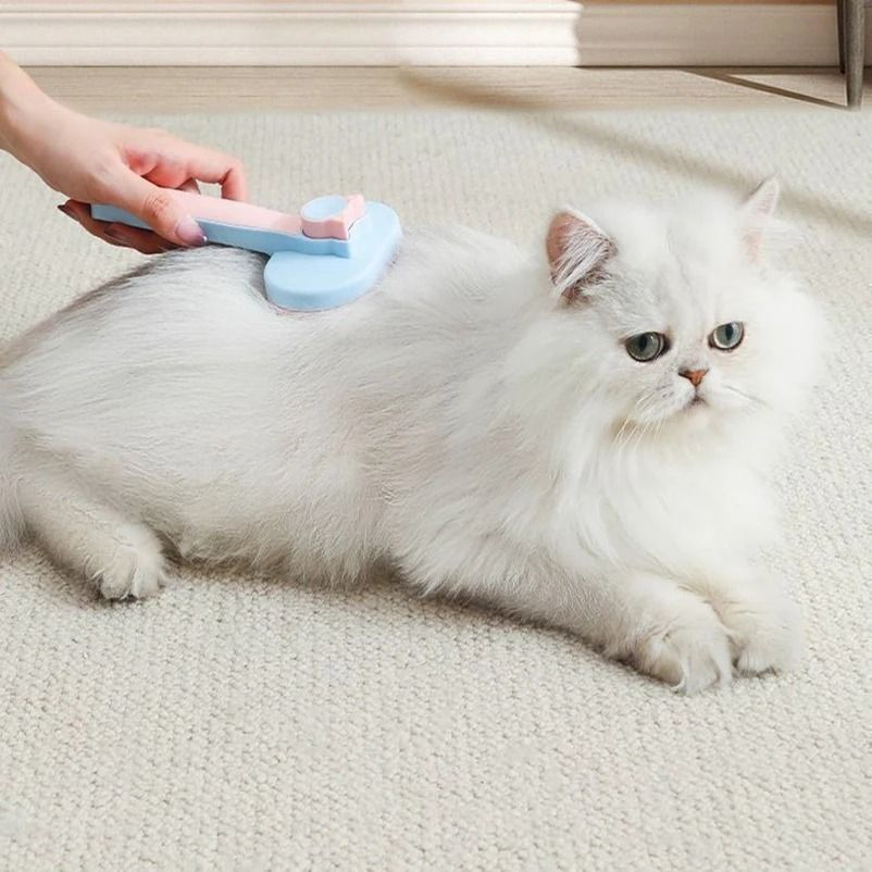 Pet Hair Removal Comb For Cats And Dogs