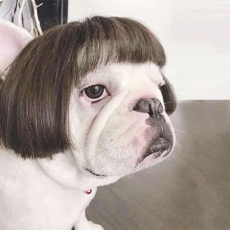 Funny Pet Wig Costume Accessory